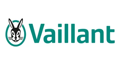 Servicio Técnico Vaillant en Oñati